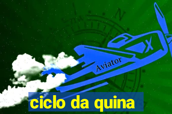 ciclo da quina